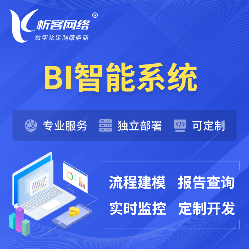 海北藏族BI智能系统 | BI数据可视化
